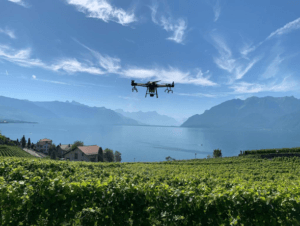 les drones agricoles révolutionnent la viniculture